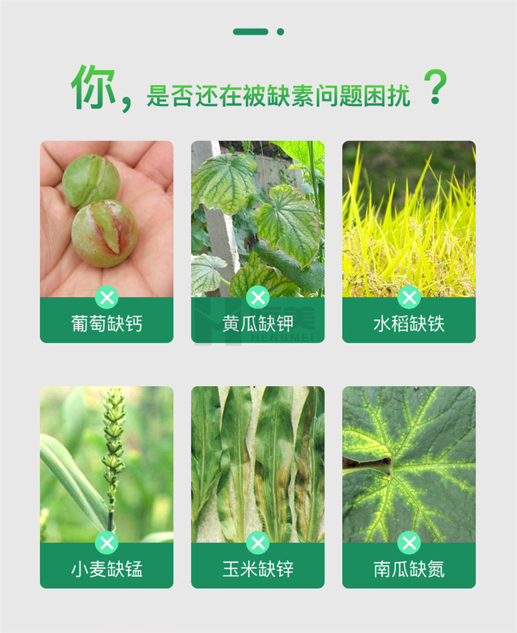 高智能土壤養(yǎng)分檢測(cè)儀怎么選？